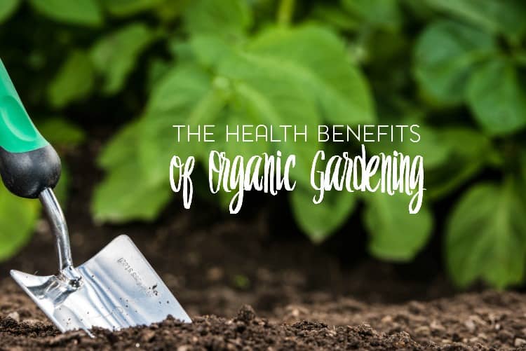 With the organic craze still very much alive, it lead me to wonder: are there really health benefits of organic gardening?