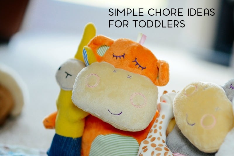We all know that toddlers are experts in making a mess. But what about chores? What are some simple chores for a toddler?